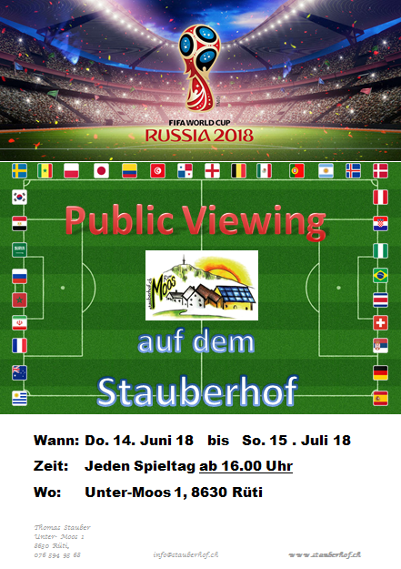 Flyer Public Viewing