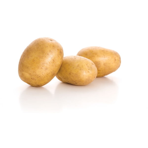 Kartoffeln Agria
